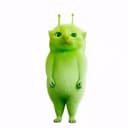 绿猫