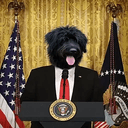 POTUS