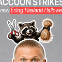 RACCOON