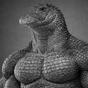 WWW