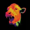 NeonBull