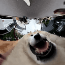 POV
