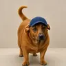 VADIO