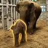 赤ちゃん