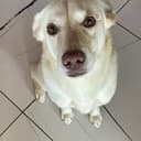 MALKO