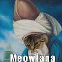 MEOWLANA