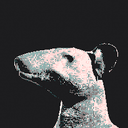 MAUZ