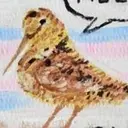 Meep