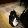 FEET