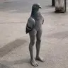 legs