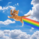 FARTCAT