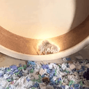 HAMSTER