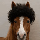 fro