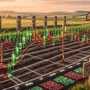CANDLE FARM