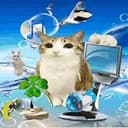 Meowl