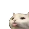 :p