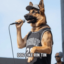 RinTinTin