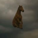 horsefly
