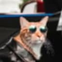 DANKCAT