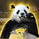 BAO