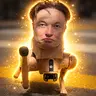 elondog