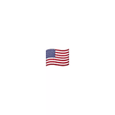 🇺🇸