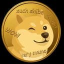 shibe