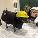 monitoring