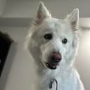 Coda