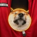 SAN