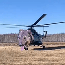 copterdog