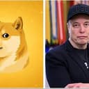 DogeOS