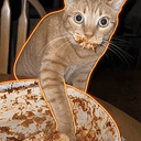 $Garfield
