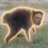 Jimothy