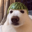 MELONㅤ