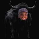 Bansem