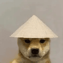 RIF