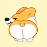 CORGILIFE