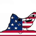 amerigotit
