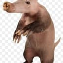 CRIVAN