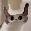 mɔ
