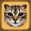 #cat