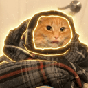 LES