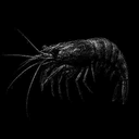 SHRIMP