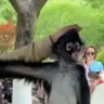 KEKE