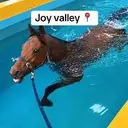 VALLEY