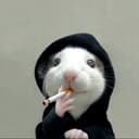 Hoodrat