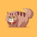 FATCAT