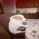 SED