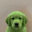 pfp